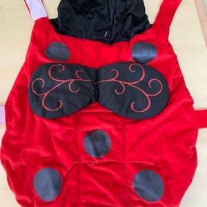 Halloween ladybug dog costume XXL large dog